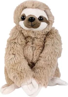 A plush sloth toy is shown sitting upright against a white background.
