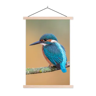 Produktbild von MuchoWow® Textilposter Vogel - Eisvogel - Tiere - Zweig 40x60 cm mit holzfarbenen Rahmen - Poster