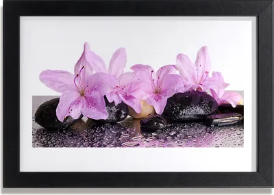 Produktbild von Bild 30x20 MDF-Rahmen Wandkunst Seerose Blumen Rosa
