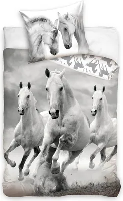 Produktbild von Weiße Wildpferde - Bettwäsche-Set mit Pferde-motiv, 135x200 & 80x80