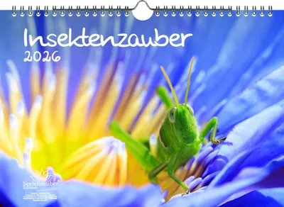 Produktbild von Insektenzauber DIN A3 Kalender für 2026 - Seelenzauber