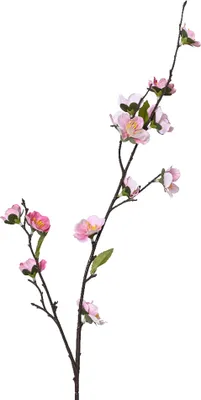 Produktbild von Künstlicher Kirschblütenzweig 70cm Rosa