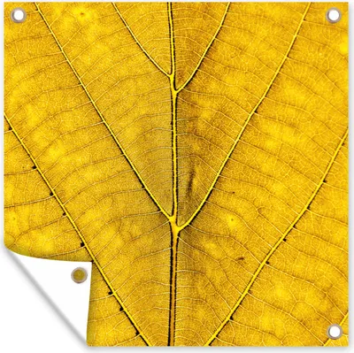 Produktbild von MuchoWow® 100x100 cm Outdoor-Poster Gartendeko Sichtschutz Garten Poster für den Garten  Blätter - Pflanzen - Gelb