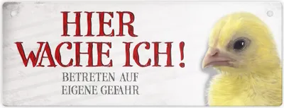 Produktbild von Betreten auf eigene Gefahr - Hier wache ich! Metallschild XL mit Küken Motiv