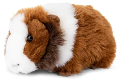 Produktbild von WWF - Plüschtier - Meerschweinchen (19cm, braun) lebensecht Kuscheltier Stofftier