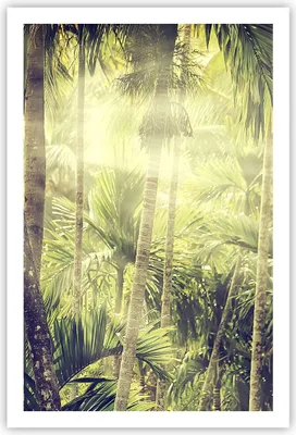 Produktbild von Poster - Poster ohne Rahmen - Morgendämmerung Dschungel Palmen - 61x91,5 cm - Wand Bild - Wanddeko - Wandbilder - Kunstposter - Wandposter - Bilder - Kunstdruck - Wanddekoration - P2XPA61x91-4450