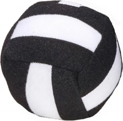 Produktbild von Spordas Spielball "Bumball"