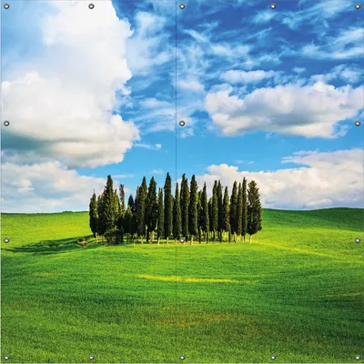 Produktbild von Wallario Outdoor-Poster für Garten oder Balkon, Motiv Kleiner Wald inmitten einer weiten Wiese, in ca. 180 x 180 cm