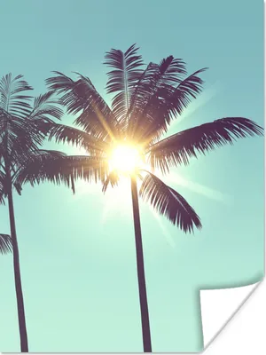Produktbild von MuchoWow® Poster Palmen - Sommer - Sonne 90x120 cm - Wohnzimmer