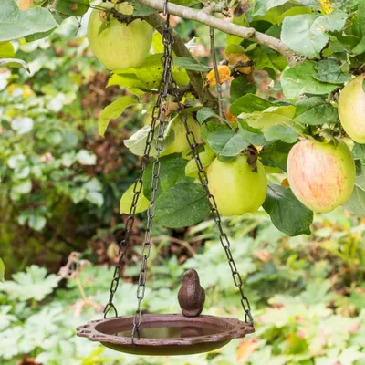 Produktbild von HI Vogeltränke zum Aufhängen 20,5 cm Braun