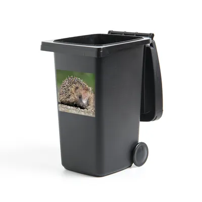 Obrázok produktu pre MuchoWow® Nálepka na odpadkový kôš - Ježko - voda - slnko - 40x40x0.1cm