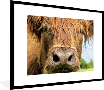 Produktbild von MuchoWow® Gerahmtes Poster Schottischer Highlander - Nahaufnahme 80x60 cm - Poster mit Schwarzem Bilderrahmen Wandposter Rahmen Foto Bilder - Schlafzimmer-Dekorationen - Fotoposter