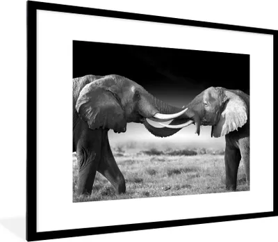 Produktbild von MuchoWow® Gerahmtes Poster Elefant - Tiere - Schwarz und weiß - Porträt - Landschaft 80x60 cm - Poster mit Schwarzem Bilderrahmen Wandposter Rahmen Foto Bilder - Schlafzimmer-Dekorationen - Fotoposter