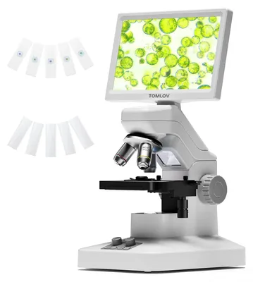 Image de Microscope biologique - 301. Microscope stéréoscopique numérique - 500 à 1500 fois de grossissement - Électronique - Trois objectifs - Batterie incluse - Pour l'école et le laboratoire
