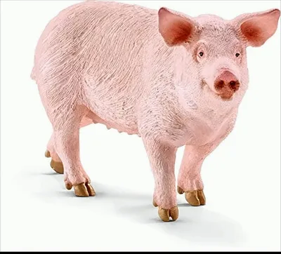 Produktbild von schleich 17071 Schwein Spielfigur