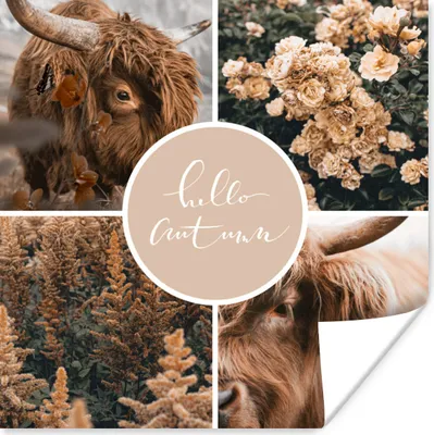 Produktbild von MuchoWow® Poster Schottischer Highlander - Herbst - Collage 50x50 cm - Wohnzimmerdekoration