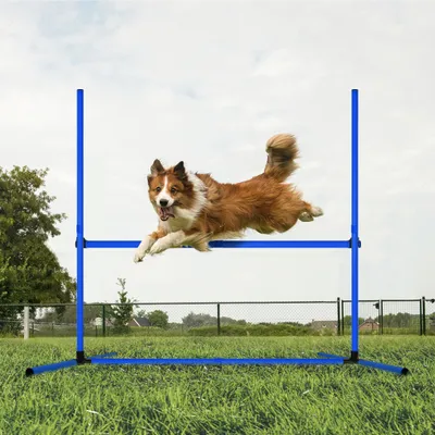 Produktbild von YZNAHRE 4x Agility Hürdenset Hunde PVC Slalomstangen Training Set Höhenverstellbar Kunststoff Hürdenset mit Transporttasche für Hundesport, Blau