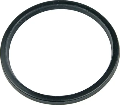 Produktbild von Saeco 11010119 Lippendichtung Dichtung Dichtring für Sieb Filter z.T. MODO MIO RI9575 RI9576 SIN029 Kaffeeautomat Kaffeemaschine auch Philips 996530073492