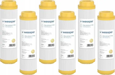 A set of six water filter cartridges.
