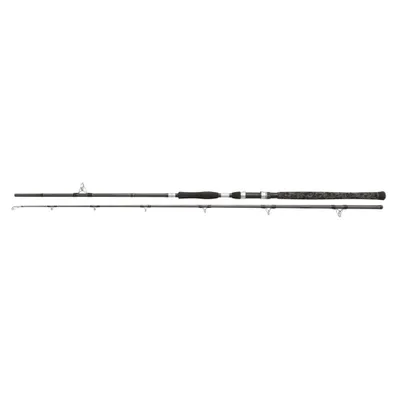 Obrázek produktu pro Penn Prut Legion Cat Silver Power Allround 3m 200-400g