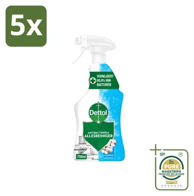 Produktbild von 5 x  Dettol Allesreiniger Spray Katoenfris - Antibakteriell - 750 ml - Vorratspackung - 5 Stücke