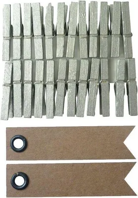 Image de 24 mini pinces à linge - argent + 20 étiquettes fanions Kraft