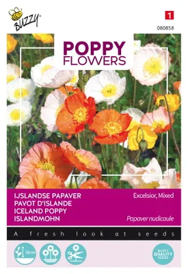 Image de Buzzy Poppy Flowers Graines de pavot d'Islande - Environ 0,5 gr | Buzzy_080858