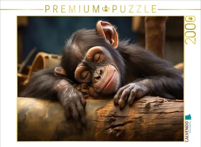 Produktbild von CALVENDO Puzzle Ein Motiv aus dem Kalender "Wenn sie schlafen" | 2000 Teile Lege-Größe 90x67cm Foto-Puzzle für glückliche Stunden