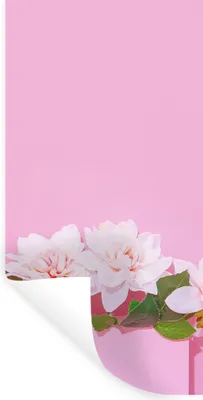 Produktbild von MuchoWow® Wandtattoo Wandsticker Wandaufkleber Blüte - Sommer - Rosa 40x80 cm Selbstklebend und Repositionierbar - Repositionierbar - Wasser abweisend