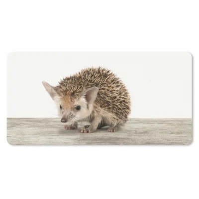 Produktbild von MuchoWow® Mauspad Mousepad Igel - Tiere - Jungen - Mädchen 60x30 cm - Mousepads - Maus Mat - Pad - Mausunterlage - Nachhaltig