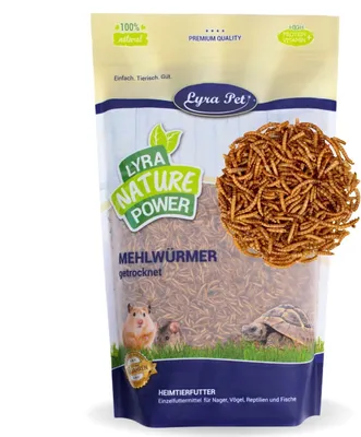 Produktbild von 5 kg Lyra Pet® Mehlwürmer für Nager