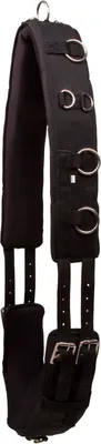 Obrázek produktu pro Imperial Riding Lunging Girth Nylon IRHDeluxe Black Full