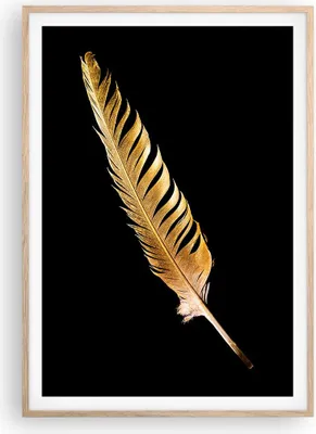 Produktbild von Gerahmtes Poster - Rahmen in heller Eiche - Golden Feder Schwarz - 70x100 cm - Wand Bild - Wanddeko - Wandbilder - Kunstposter - Wandposter - Bilderrahmen - Bilder - Kunstdruck - P2NPA70x100-4887