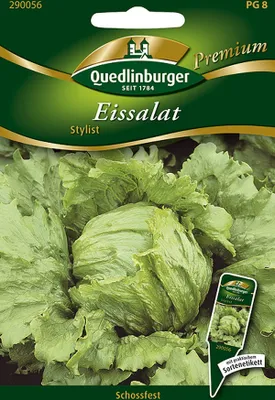 Produktbild von Quedlinburger Eissalat Stylist - Premium Gemüsesamen