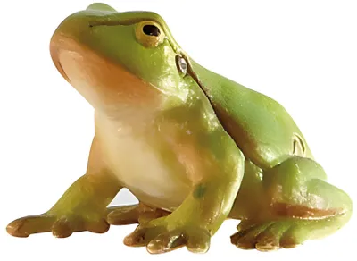 Produktbild von Laubfrosch, Spielfigur