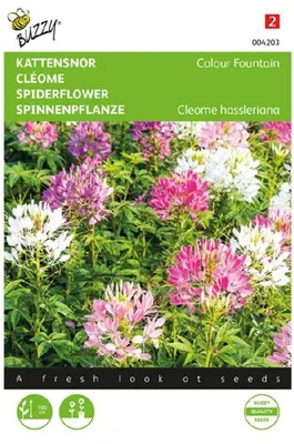 Produktbild von Samen Cleome Katzenschnurrbart Farbe Brunnen 0,5 Gramm Buzzy