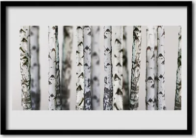 Produktbild von Bild 100x70 MDF-Rahmen Wandkunst Bäume Natur