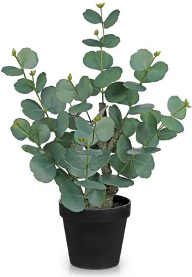 Obrázek produktu pro Umělá eukalyptová rostlina, 46 cm, zelená, na stolní dekoraci