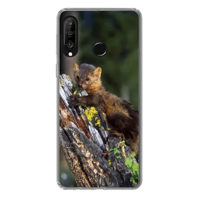 Produktbild von MuchoWow® Handyhülle Schutzhülle Hülle für Huawei P30 Lite Marder - Baum - Wald Silikon Softcase Handy Hülle - Handyhülle