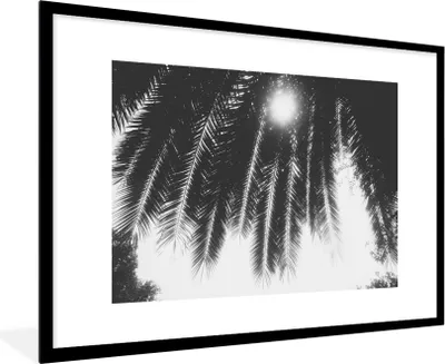 Produktbild von MuchoWow® Gerahmtes Poster Palmenblätter - Tropisch - Sonne - Palme 90x60 cm - Poster mit Schwarzem Bilderrahmen Wandposter Rahmen Foto Bilder - Wanddekoration - Fotos
