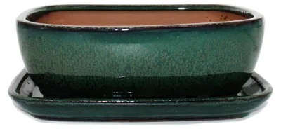 Image de pot à bonsaï avec soucoupe, taille 4 - vert - rectangulaire - modèle GB5 - L 26 cm - l 20 cm - H 9 cm