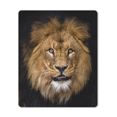 Obrázek produktu pro Podložka pod myš - Lev - Portrét - Černá - Zvířata - 19x23cm - Podložka pod myš