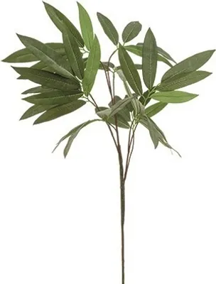 Produktbild von künstliche Eucalyptus Zweig Kunstblätter H. 100cm grün Emerald Blätterzweig