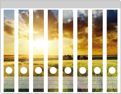 Produktbild von Wallario Ordnerrücken Sticker, selbstklebend für schmale Ordner, 8 Stück, Motiv Feldweg in den Sonnenuntergang