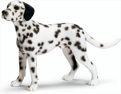 Obrázek produktu pro Schleich 16346 Dalmatin pes