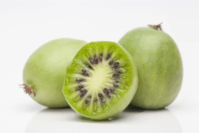 Produktbild von Actinidia arguta, Kiwibeere, 100–150 cm, winterhart