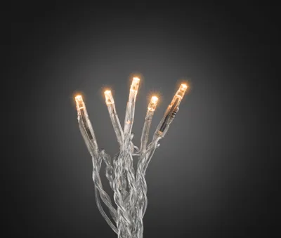 A close-up shot of several LED lights on a string.
