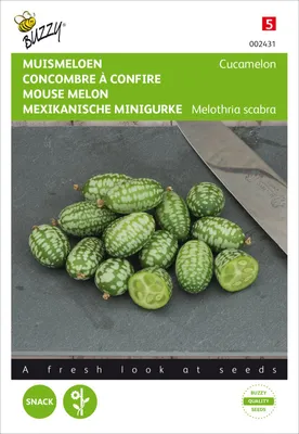 Artikelbild 2 von 'Mexikanische Mini Gurke Cucamelon' aus der Kategorie Minigurkensamen