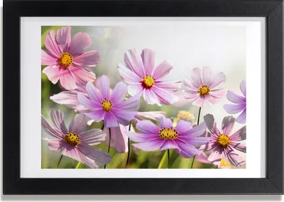 Produktbild von Bild 30x20 MDF-Rahmen, Wandkunst Blumen auf der Wiese