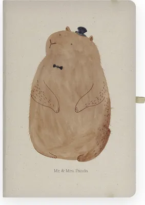 Produktbild von Mr. & Mrs. Panda notizbuch Murmeltier - Transparent - Geschenk, Lustige Sprüche, Anstand, Fröhlichkeit, Skizzenbuch, Journal, Respekt, Tagebuch, Freundlichkeit, Kladde